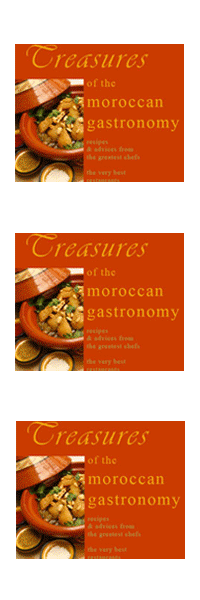 www.moroccan-gastronomy.com : get the best of Moroccan cuisine and gastronomy in Morocco